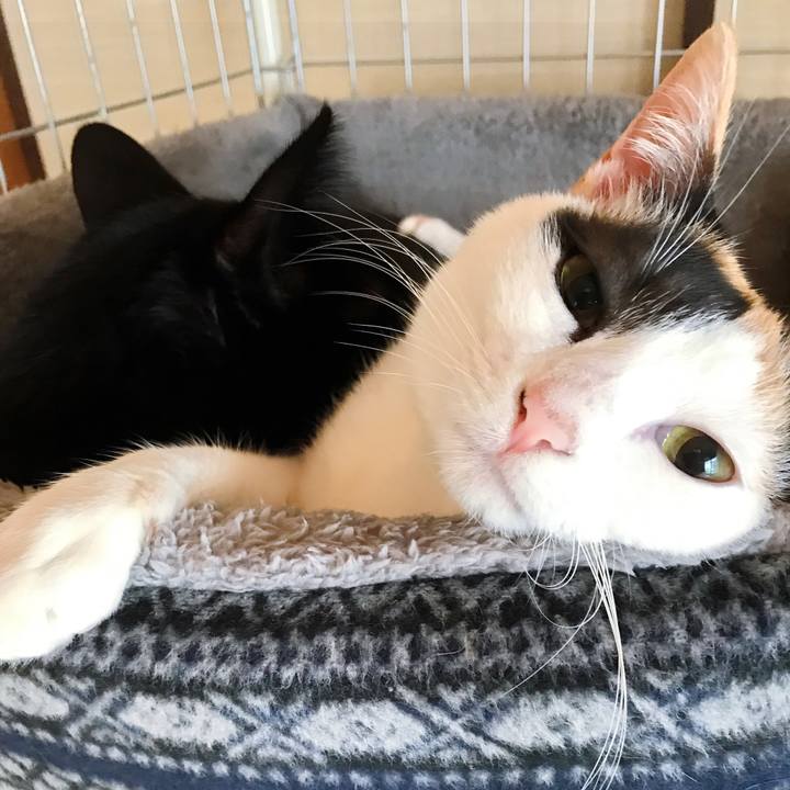 8295d1fb 6b53 4318 a3f5 0419225dba57