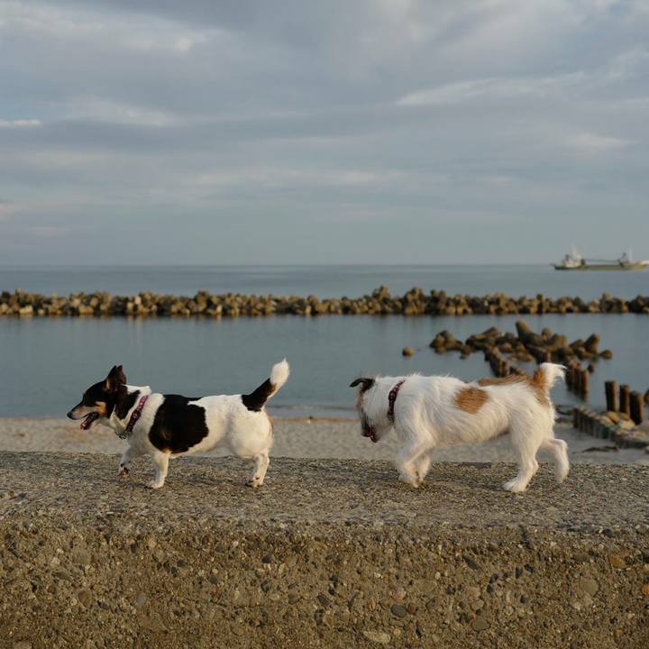 8296340c 5ac0 4c9e ab97 a621aba856fc