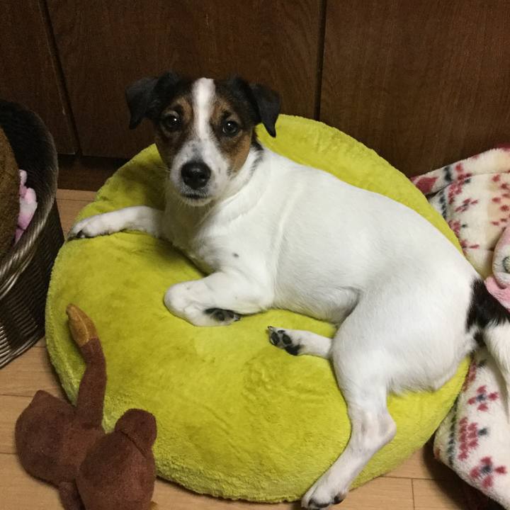 82965192 f4c2 439a bc21 7e274112138b