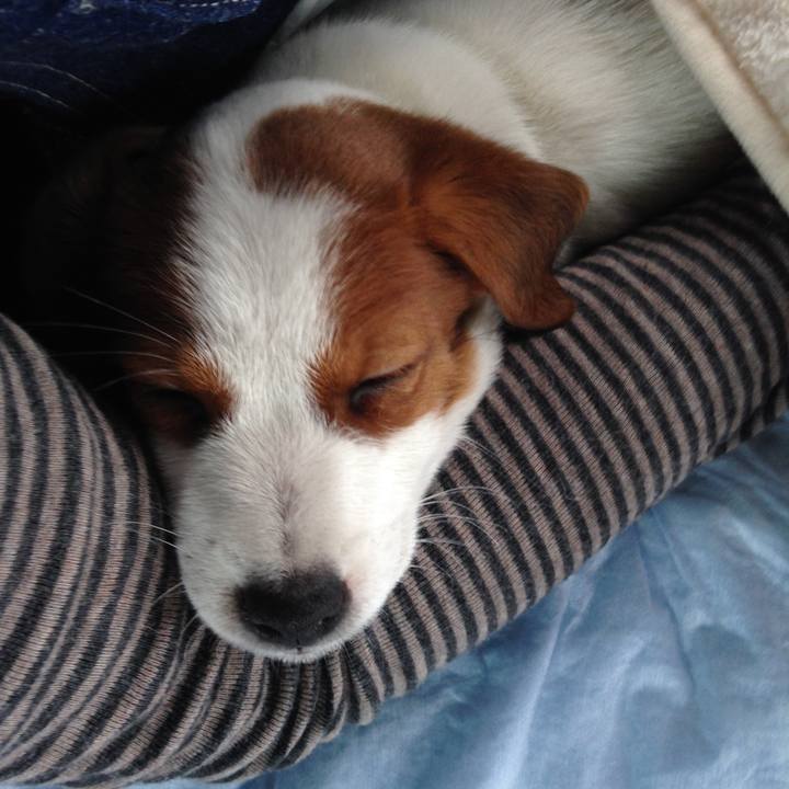 8296b8b0 4d4e 4201 9881 5eb585d54cc4