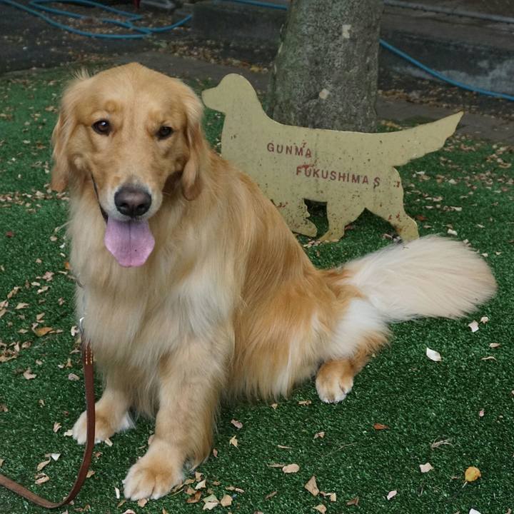 82971e9e ee80 4b49 9fb8 ad183d7e9a91