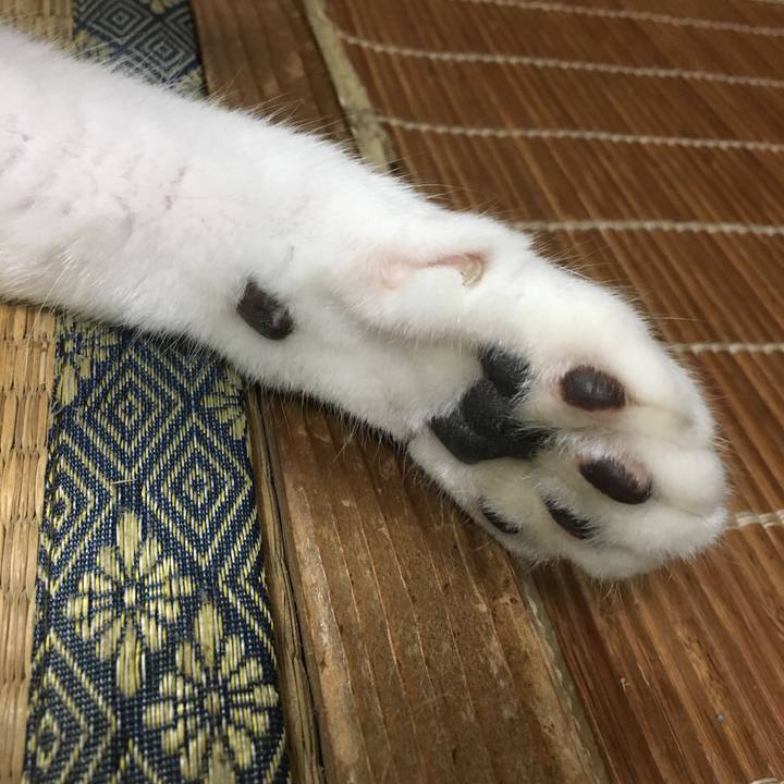 82972035 d11d 43a9 974c 0da00c9666a3