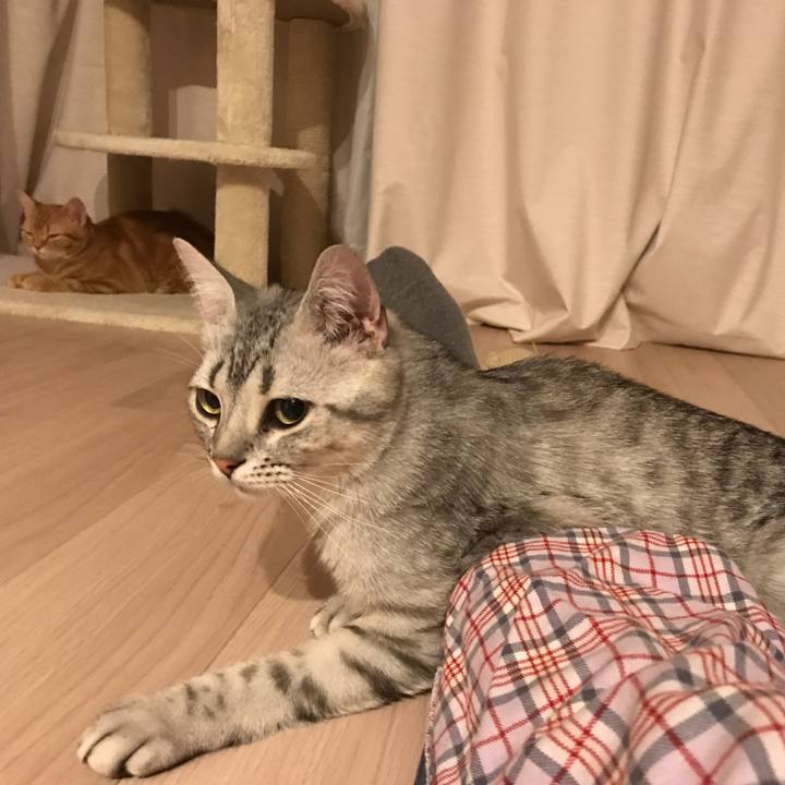 829774d8 4ea3 4925 b436 9e8726ff9d28