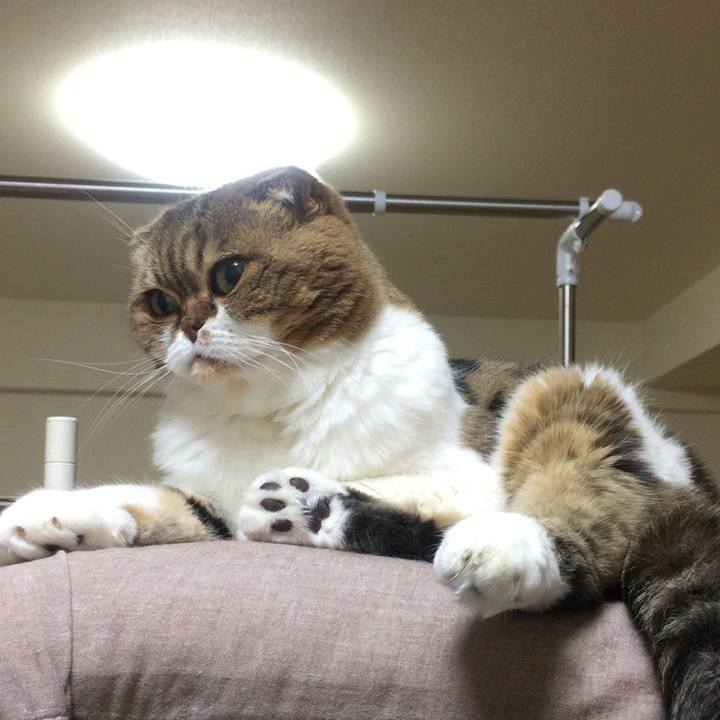 82978e6f be83 4716 892d d423fc9c108d