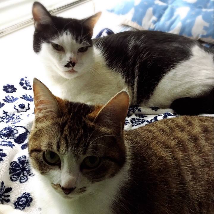 8297a09f c724 4f1f 89b4 53aaf999c4bf