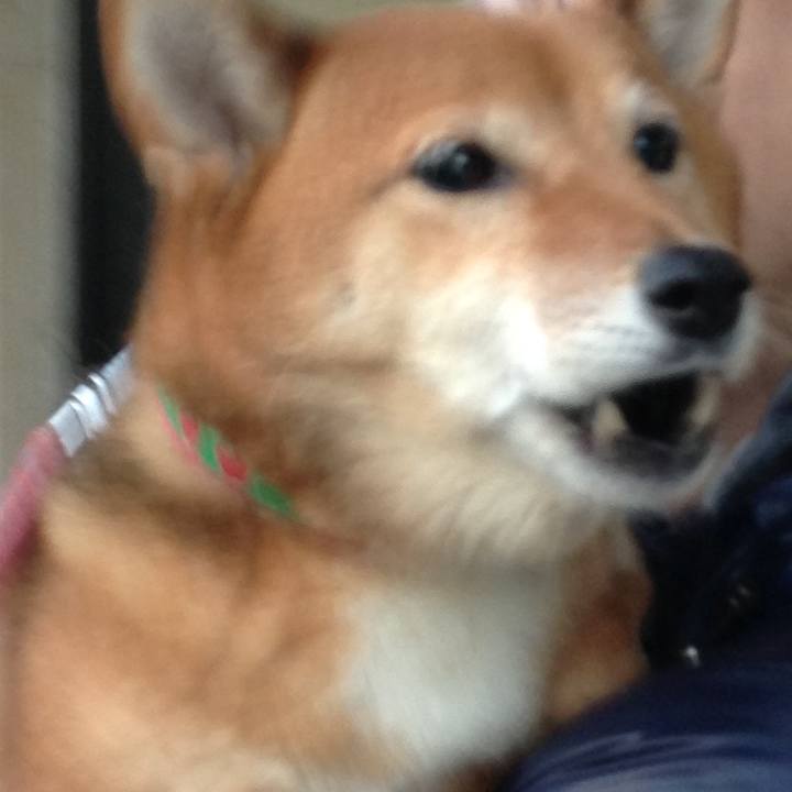 8297e7bb 2e24 46ce 8103 05bd395a1501