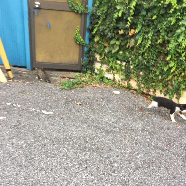 82981bec a11d 434d 9add a684e3f7969e