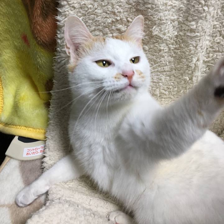 82983cf8 3cf5 404e 92b3 aeafa871d395