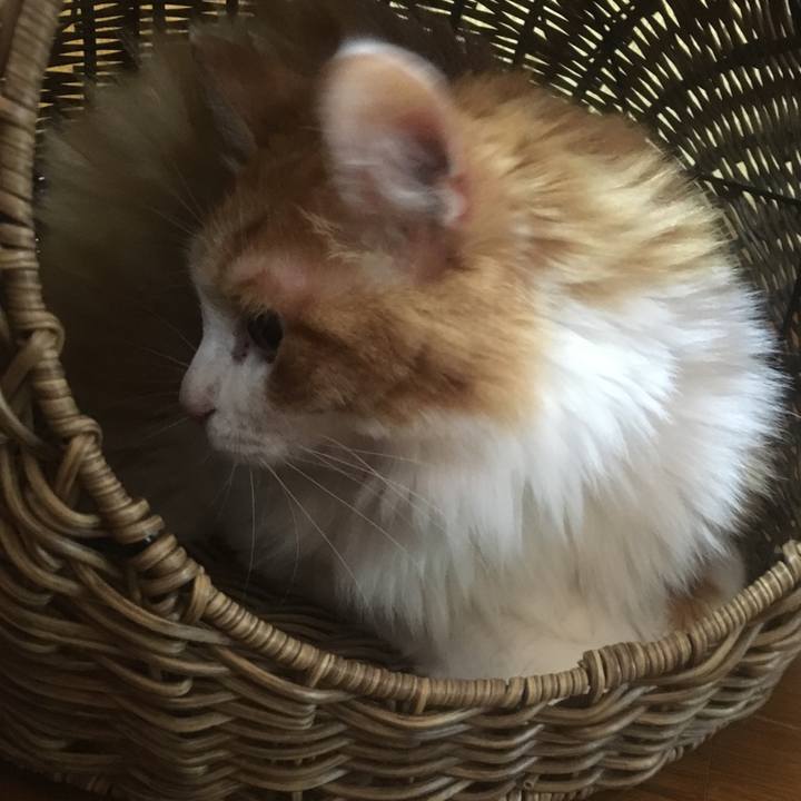 82988645 201d 4302 b097 3f87bc87b740