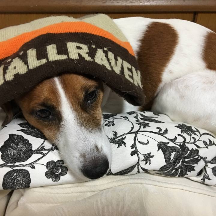 8298d683 9755 4160 9449 aa6f7885c54c