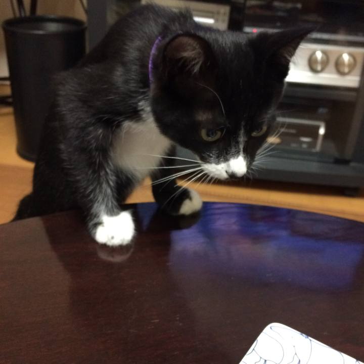 82993460 791d 42c6 882a 8c6066cd2a2d