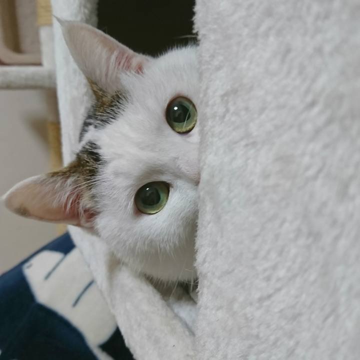 82998c12 3106 412e 8af7 7cca12390cf8