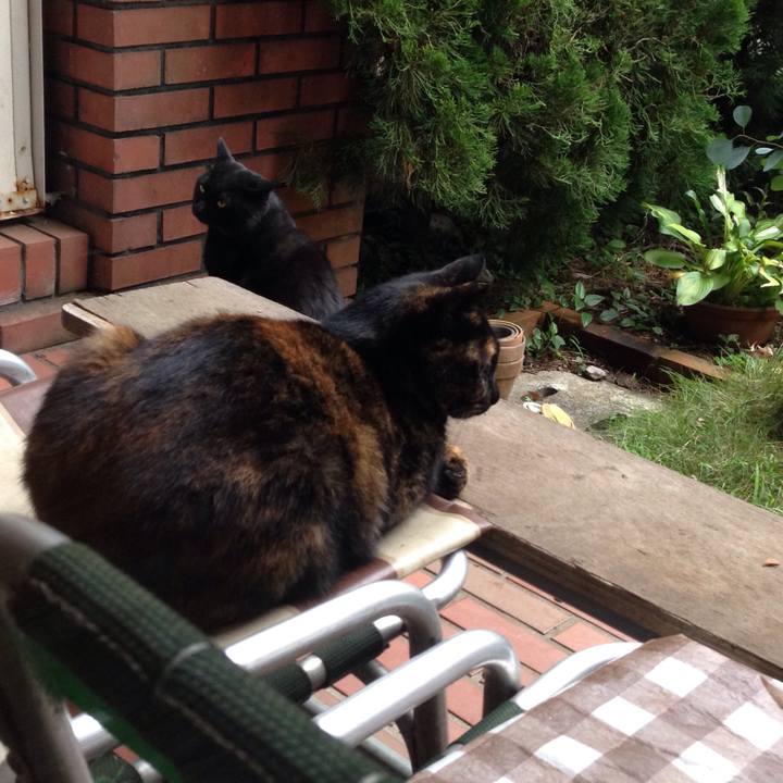 8299b7c5 3c13 4fc0 b39b 5c8f91b1c826