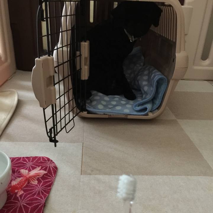 829a4d40 3582 4ed2 9554 815b5689df67