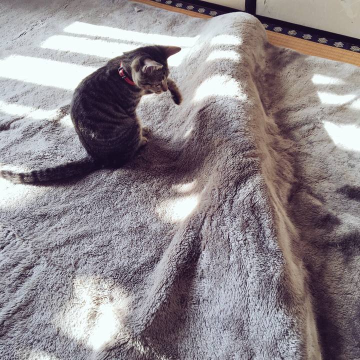 829b7010 7c2e 4282 a41b 2411a58a314c