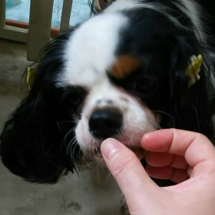 829b874f 354e 49f8 8d7c 1f9036c14a88