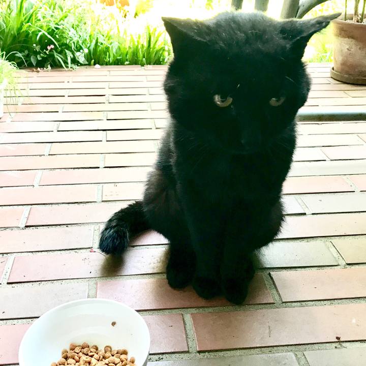 829be66a fc05 4527 b703 bb3cfc371b7b