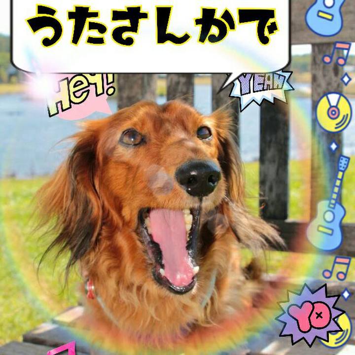 829c68ab 7467 41ec 9172 0a358d316cb0