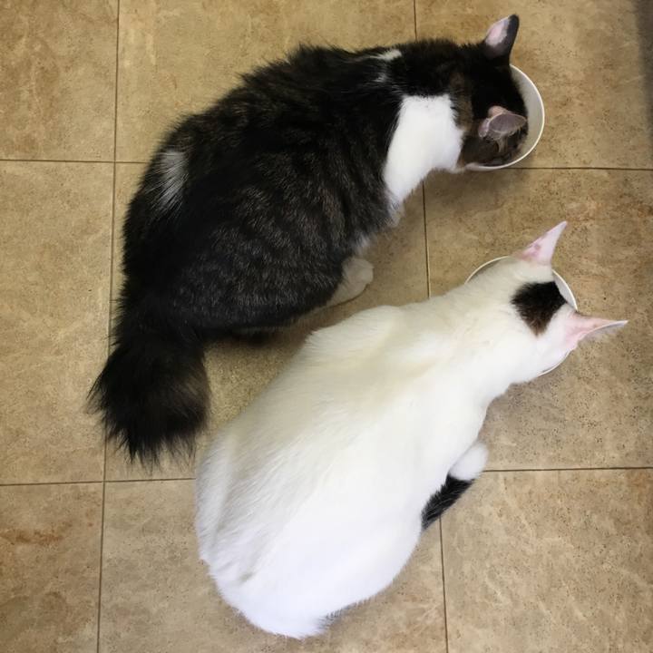 829d4a06 0695 47f5 895f f95e071ac73c