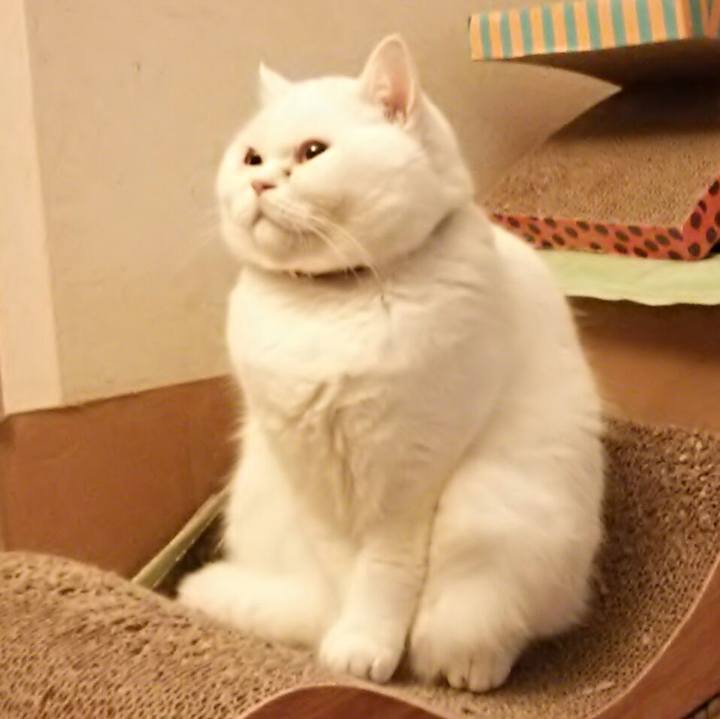 829dc5d5 f47c 4ba4 972e 3fec03bcd105