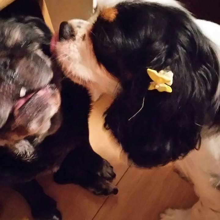 829ddda8 ddb1 4cca a1fd 3506243ada55