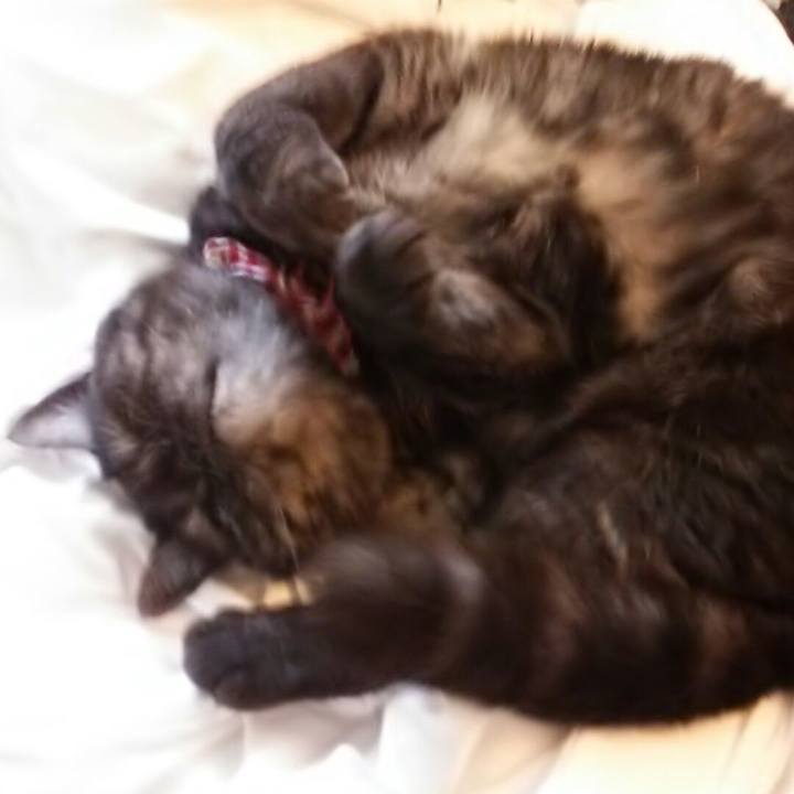 829e2202 a454 4bf2 8836 af68e9f643f7