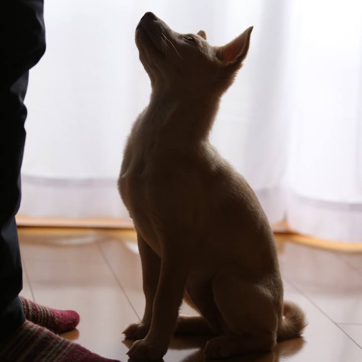 829e7fbf bcd4 4515 85e9 4e9691d5a73a