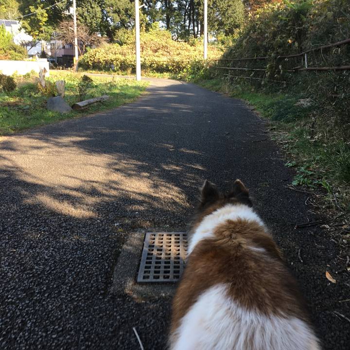 829e8f2b 64bb 4030 b735 d9b8efe70d6e