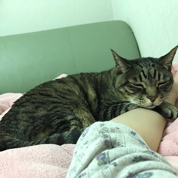 829e95de decb 46f2 ae9b 962a222d6b48