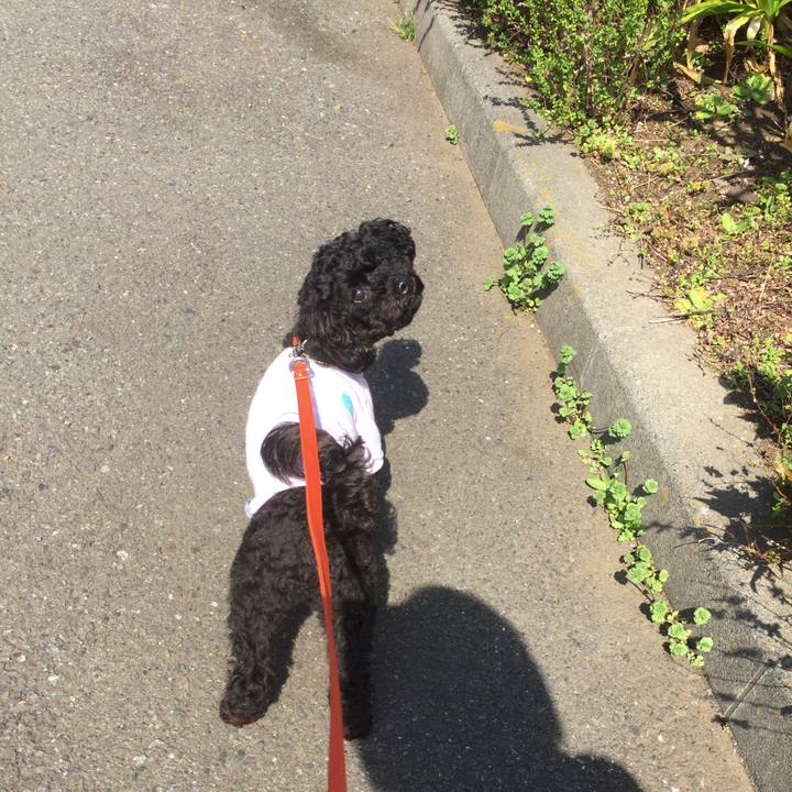 829ebcd9 908b 4b53 b208 bcf7f99f8b43