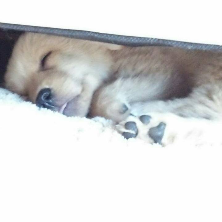 829f36ea 49e9 4351 9246 fdac84b8a2ed