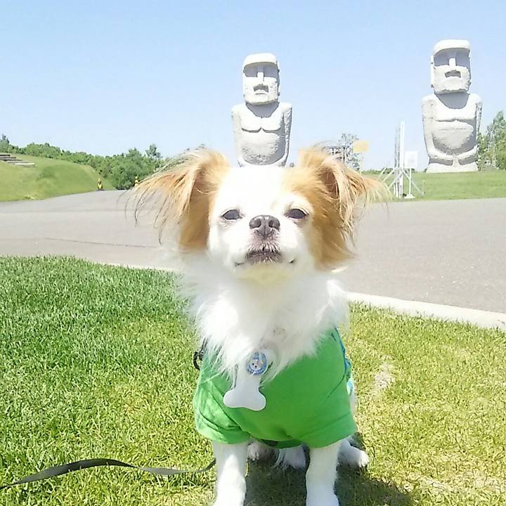 829f8162 2d8f 4062 9cb9 ac78b14052f0