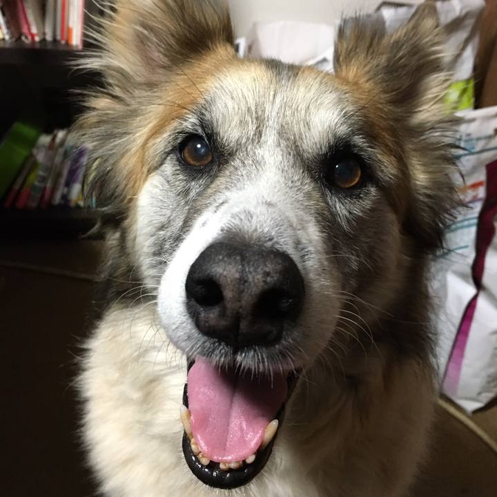 82a020bf f7bc 4eb6 b40a d467986c1bb9