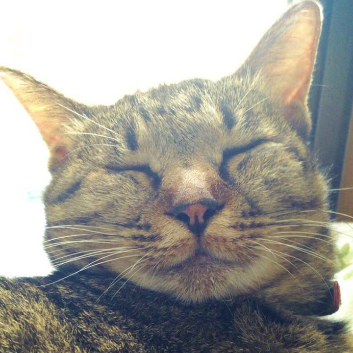 82a03cc4 359d 4972 97c7 5ccea13c572f