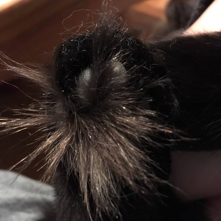 82a1505f fc23 4f7c b969 68dce6c914b2