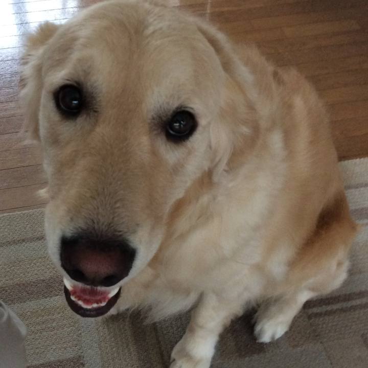 82a15a5e 4790 4665 83af afb3be9337c6