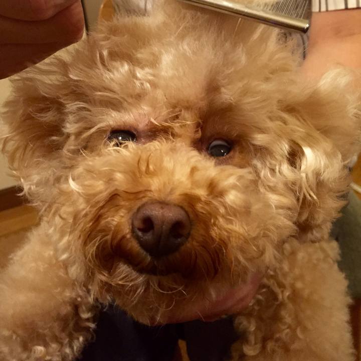 82a16a68 cd15 4bed 9319 3e1766272902