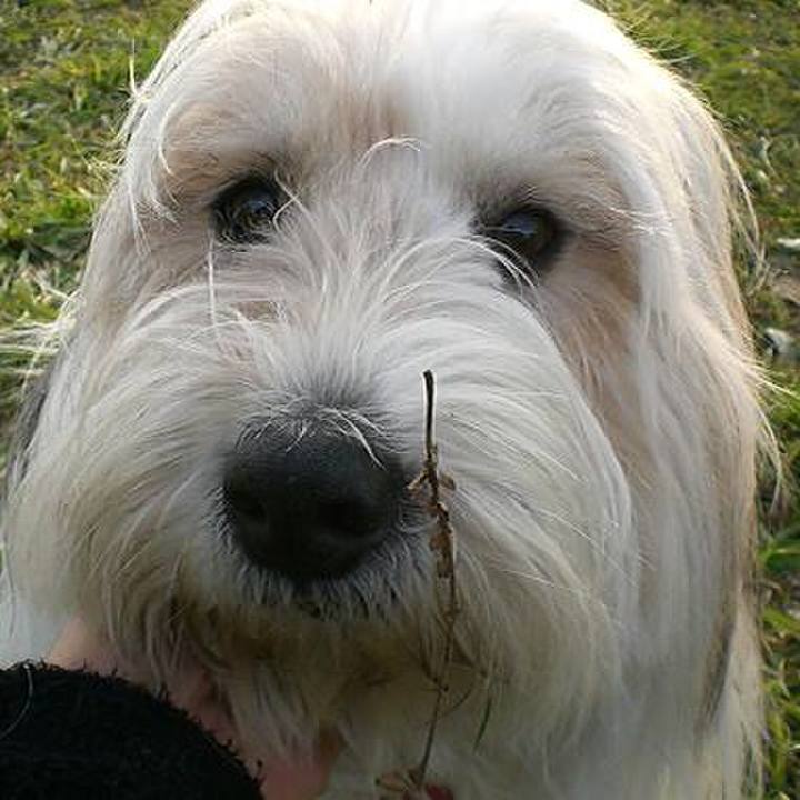 82a21390 fa0d 4043 829c 6d7b41165ebe