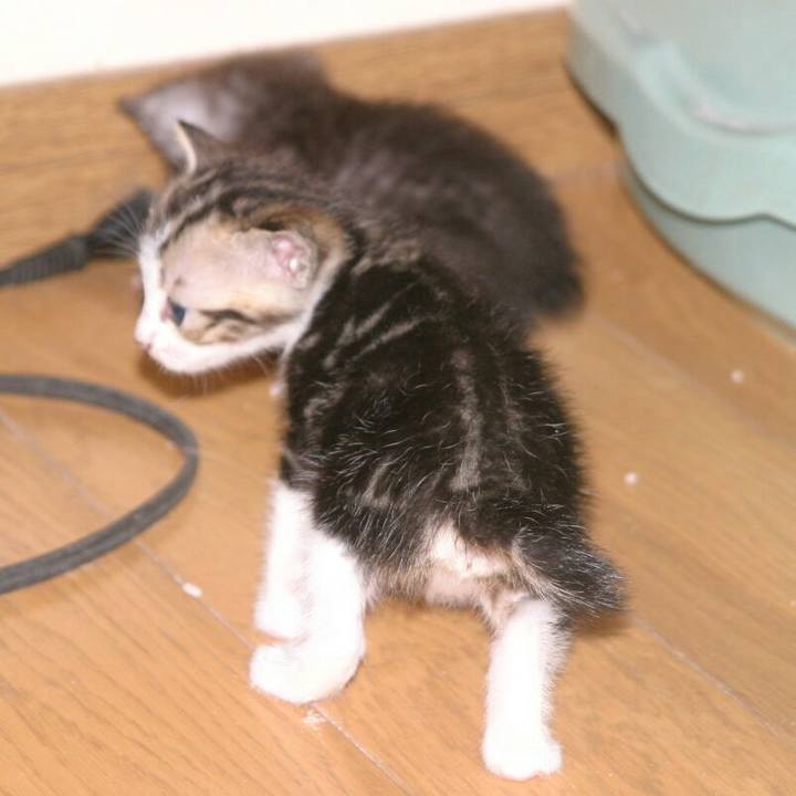 82a2869b 3119 4e35 8c72 e776eac83f63