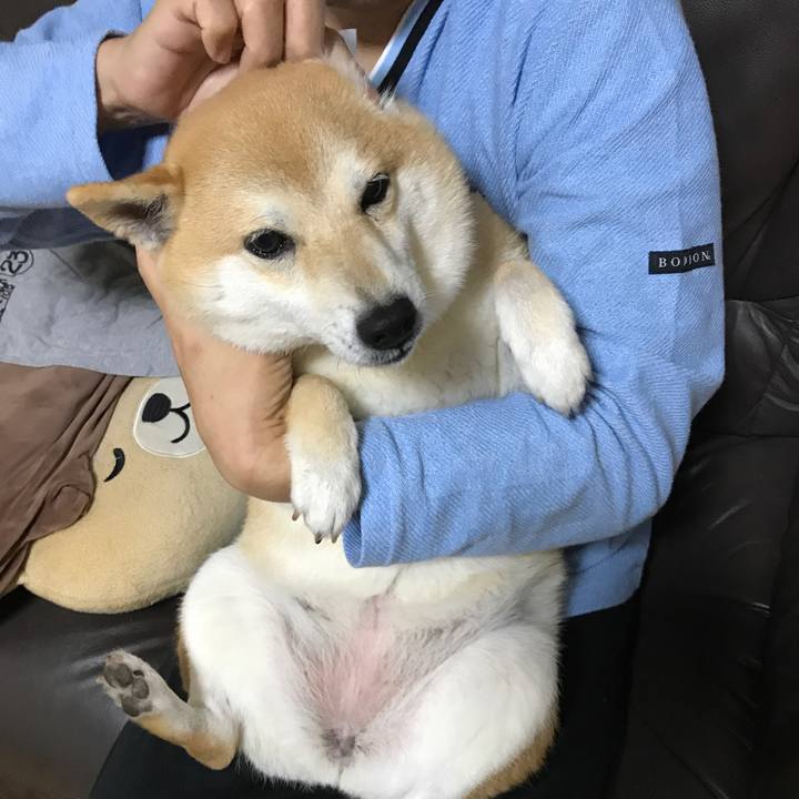 82a29a8d 37ad 4f0c 98f0 2ffad4d70185