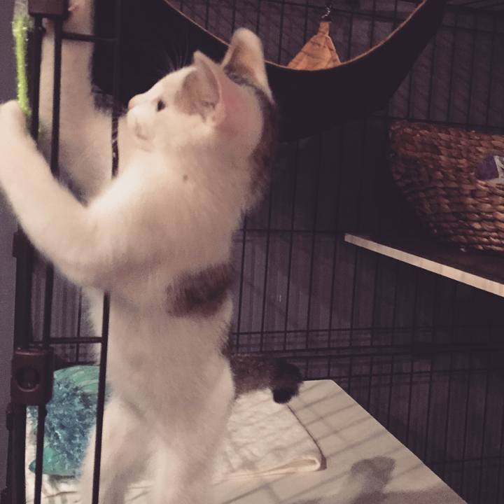 82a35a30 79e2 4911 b797 4b4e8bf6631b