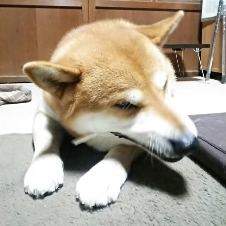 82a3fe2b b6e8 4890 a093 85c4ac2dbf28