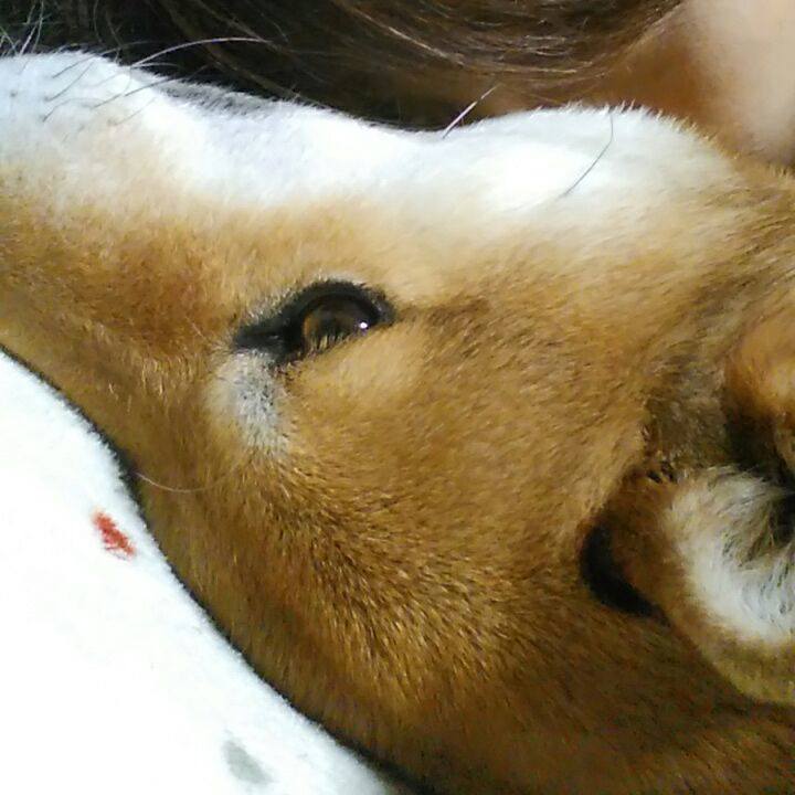 82a3ffe2 9956 4ac0 9144 d6ce6fcb9852