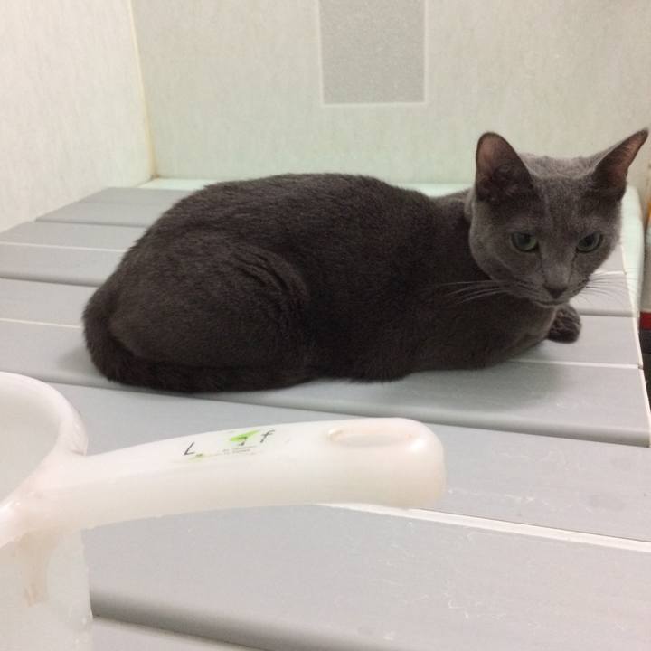 82a408bf edaf 4e0f bcab a0e377eafa09