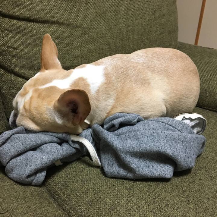 82a41da6 4f6b 48f9 b554 1332bc783b2c