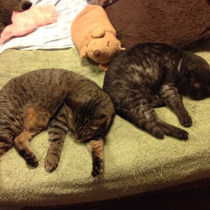 82a430bf d17b 4131 9847 b1b99a8e5eda