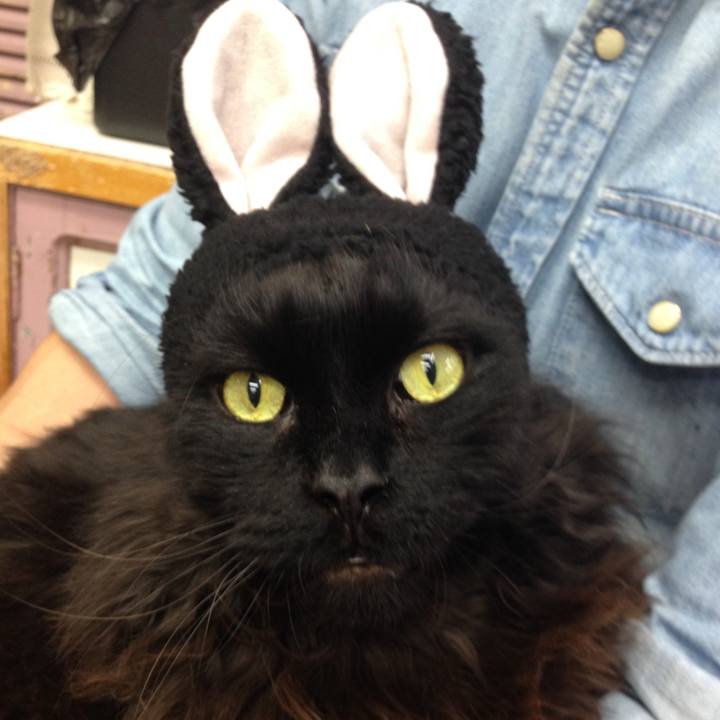 82a5147e 5ba1 4590 a9e1 e011b08d4297