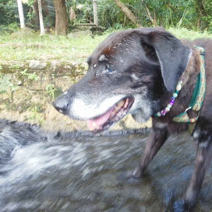 82a574a9 a206 42a5 8cb2 6453fe8f1a1a