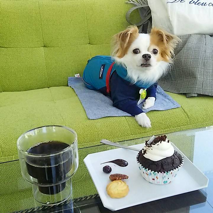 82a6054d c5c8 4279 853d ff177b834fe4