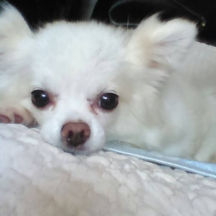 82a624fa a116 4aaa 89a5 896d3d401fc8